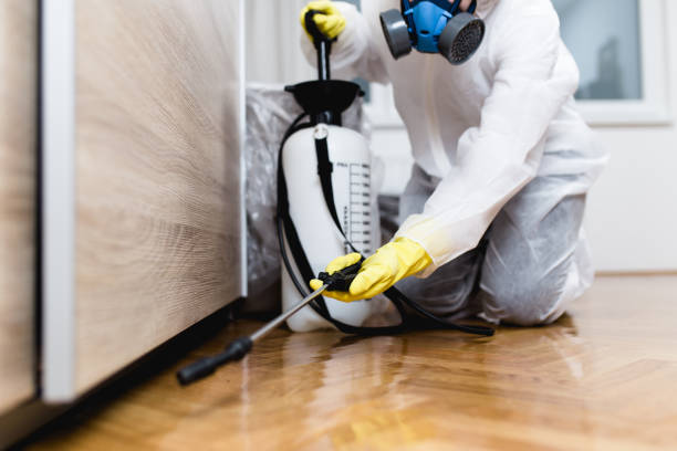 Best Pest Removal Services  in Kendale Lakes, FL