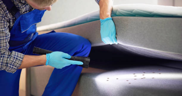 Best Best Pest Control Companies  in Kendale Lakes, FL