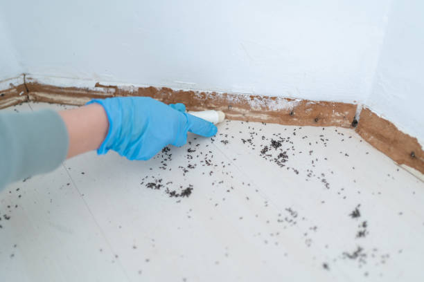 Best Commercial Pest Control Services  in Kendale Lakes, FL