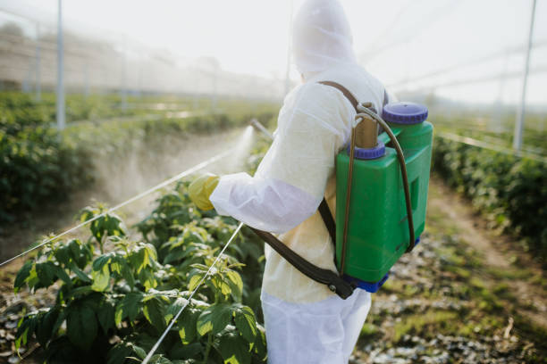 Trusted Kendale Lakes, FL Pest Control Experts